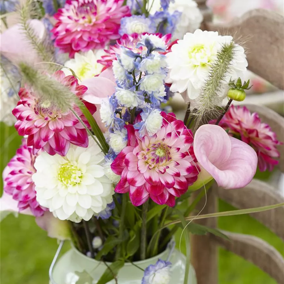 Beauty-Kur für den Blumenstrauß: Pülverchen und Hausmittel