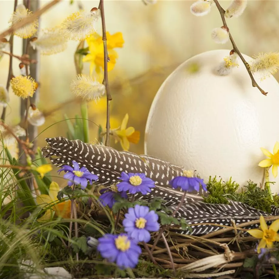 Das Garten-Paradies für Osterhase und Co.