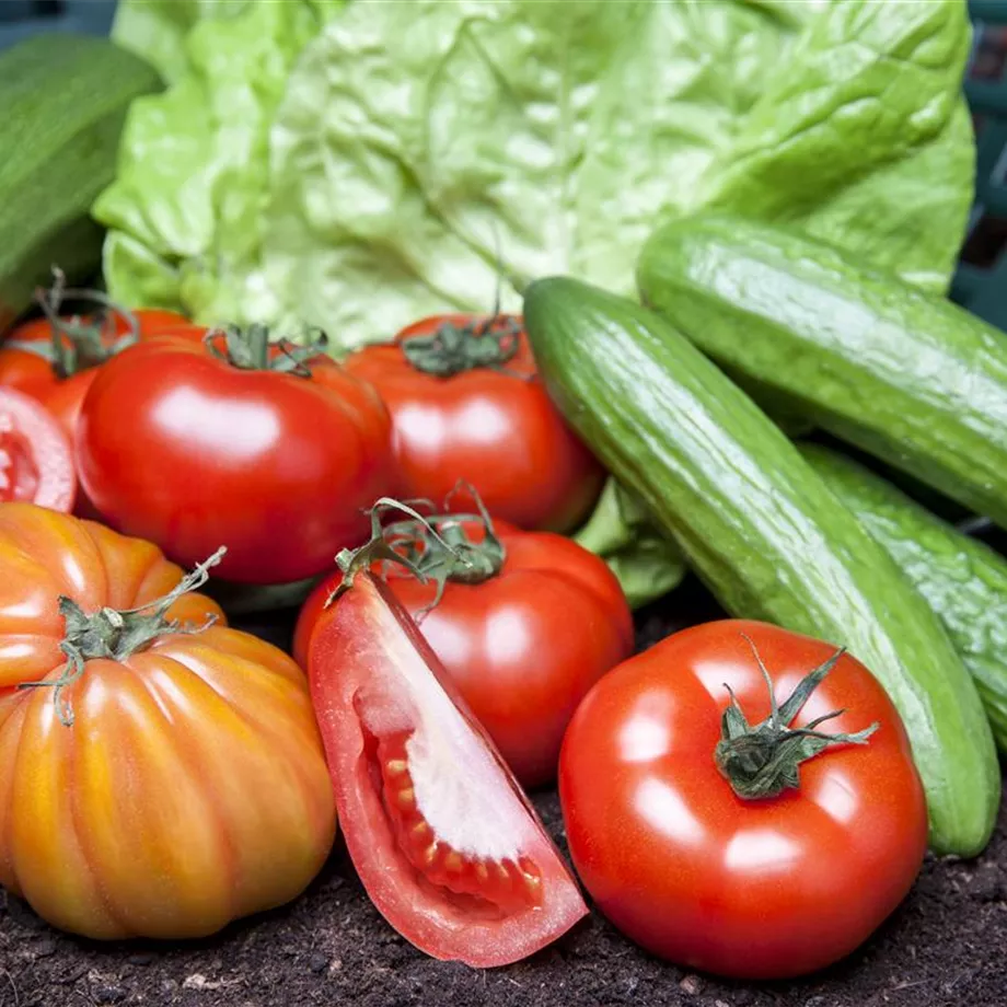 Von Artischocke bis Zucchini: alles für den Bauerngarten