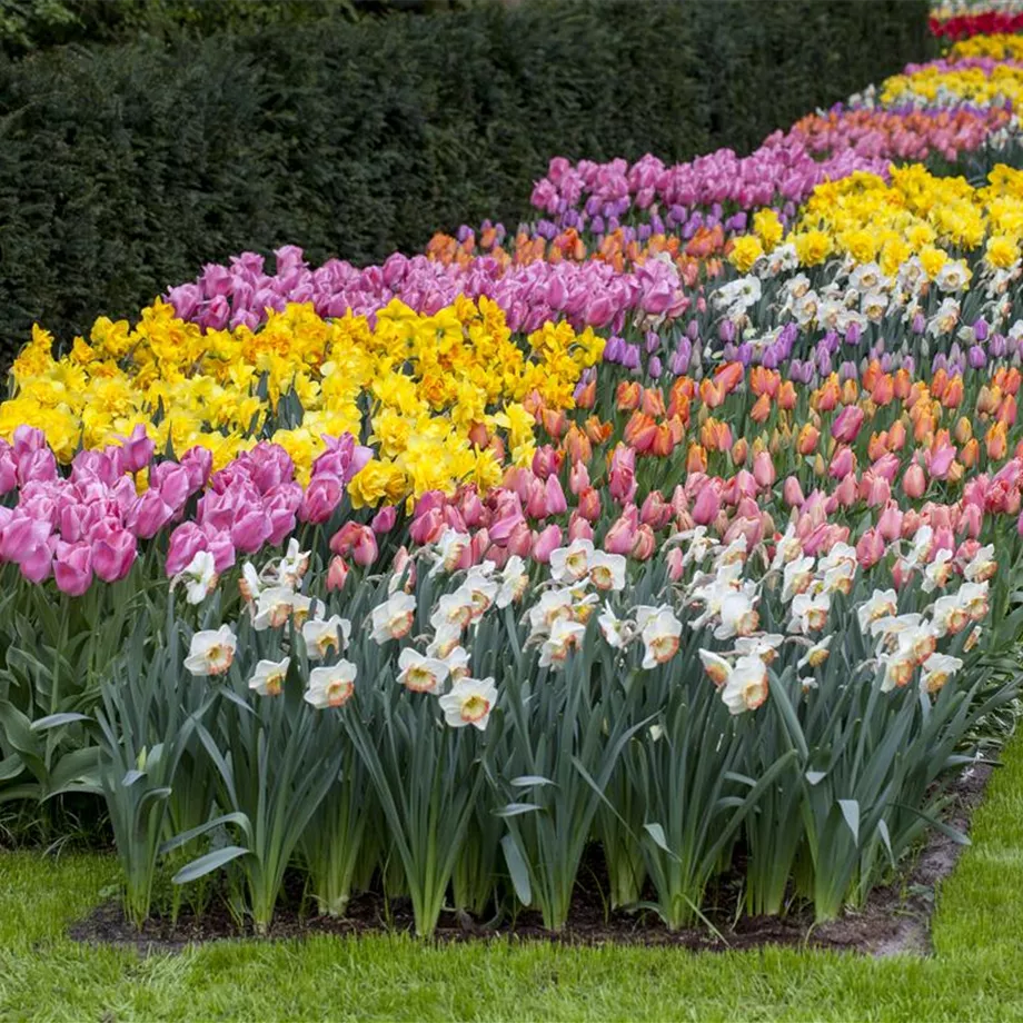 Das Blumenbeet pflegen: Gießen, düngen und schneiden